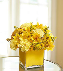 Colors of Love - Yellow Flower Power, Florist Davenport FL